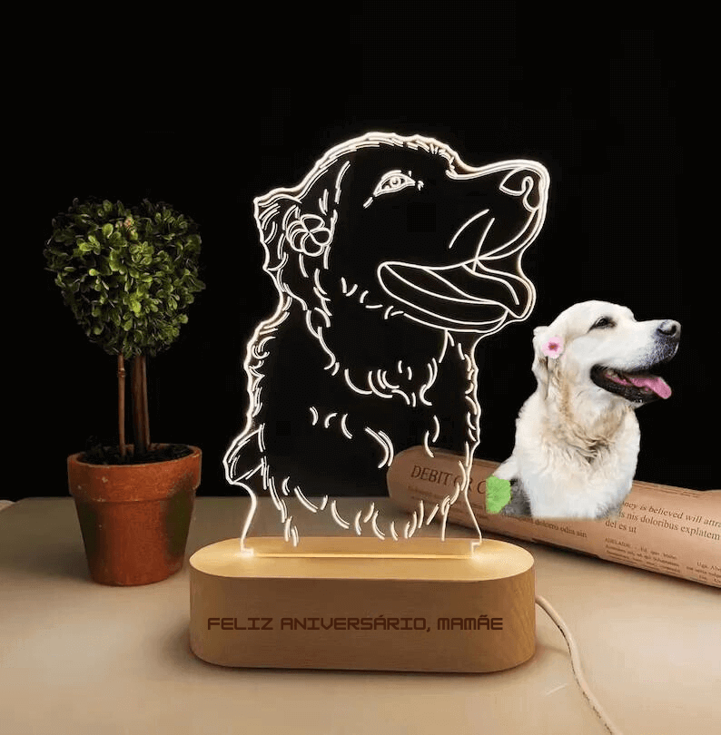 Luminária Personalizada com Foto 3D LED