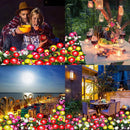 Luminária de Led Solar À Prova D'Água  Rosas