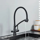 Torneira Gourmet Com Saída Para Água Filtrada Monocomando Quente e Fria Elegance Arc